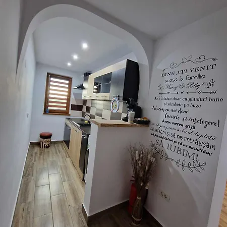 Apartamentul Lui Vlad جوريلوفكا