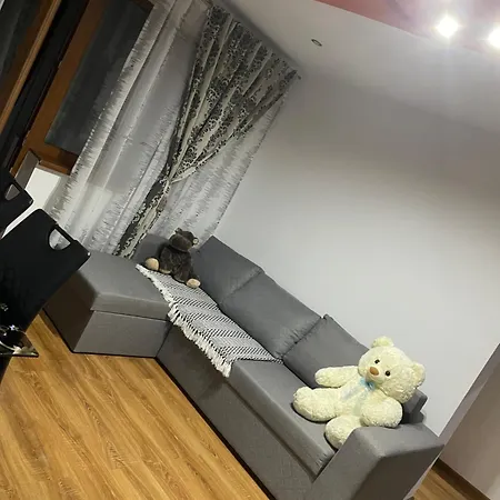 Apartment Apartamentul Lui Vlad *
