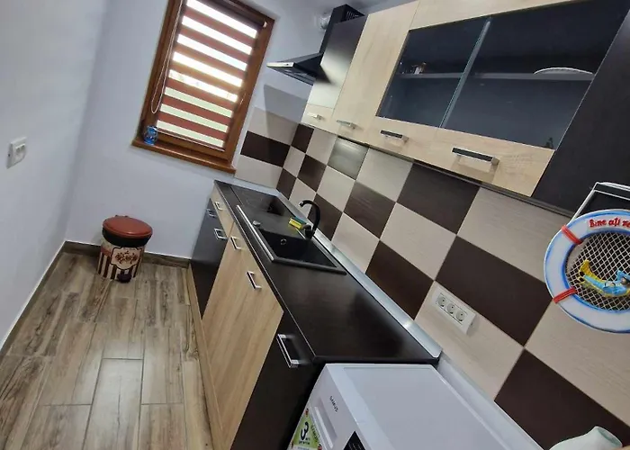 Apartment Apartamentul Lui Vlad *