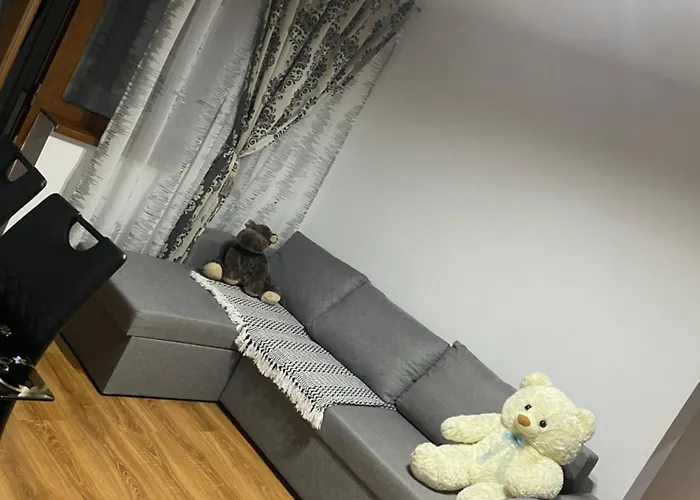 Apartment Apartamentul Lui Vlad *