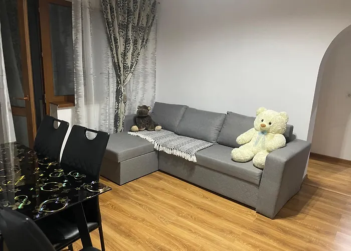 Apartamentul Lui Vlad Apartment *